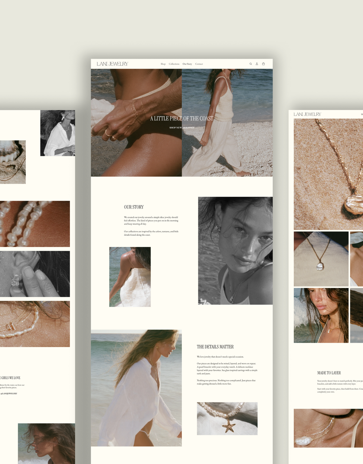 Shopify Theme | Lani