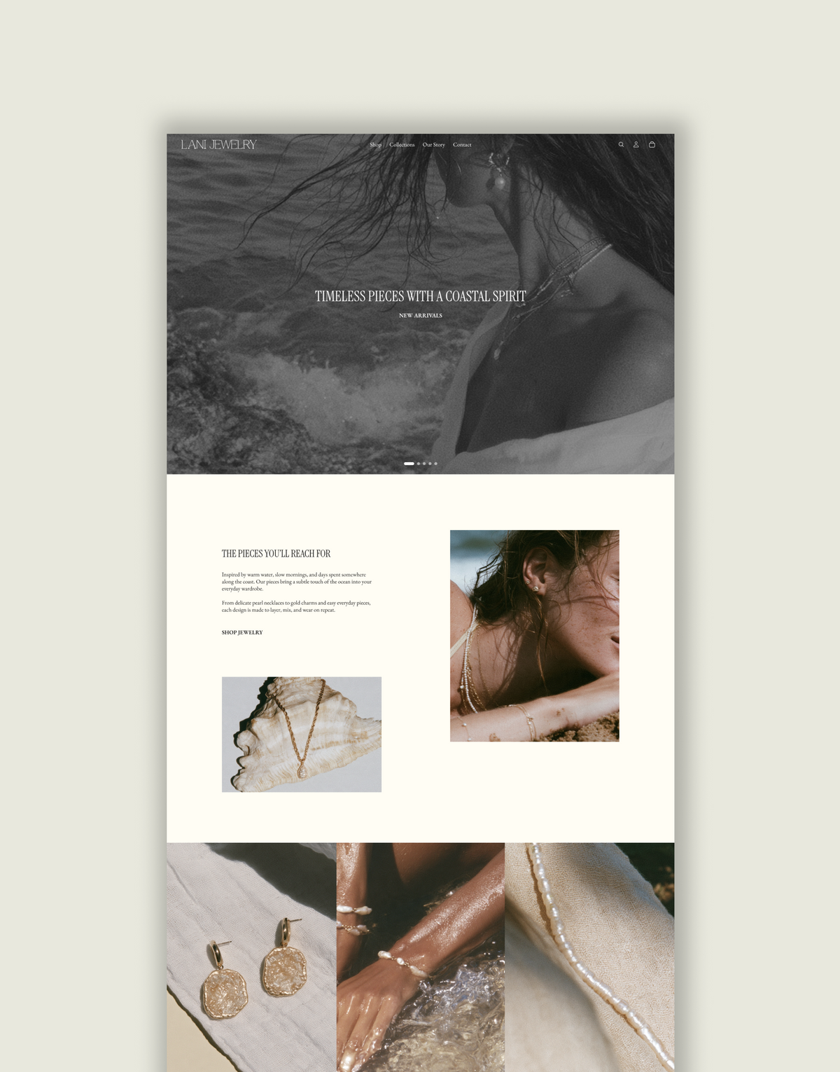 Shopify Theme | Lani